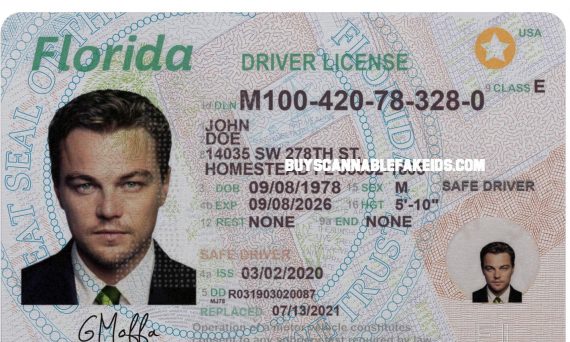 Florida Fake Driver License Scannable V1 Buy Scannable Fake Id Best