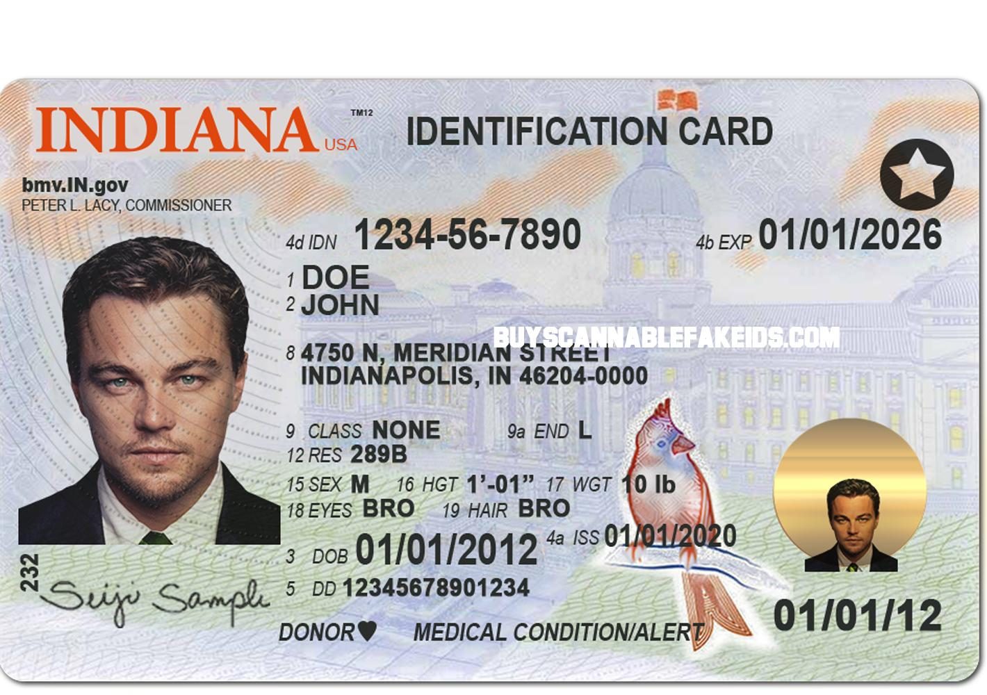 Indiana Fake Driver License Scannable - Buy Scannable Fake Id - Best ...