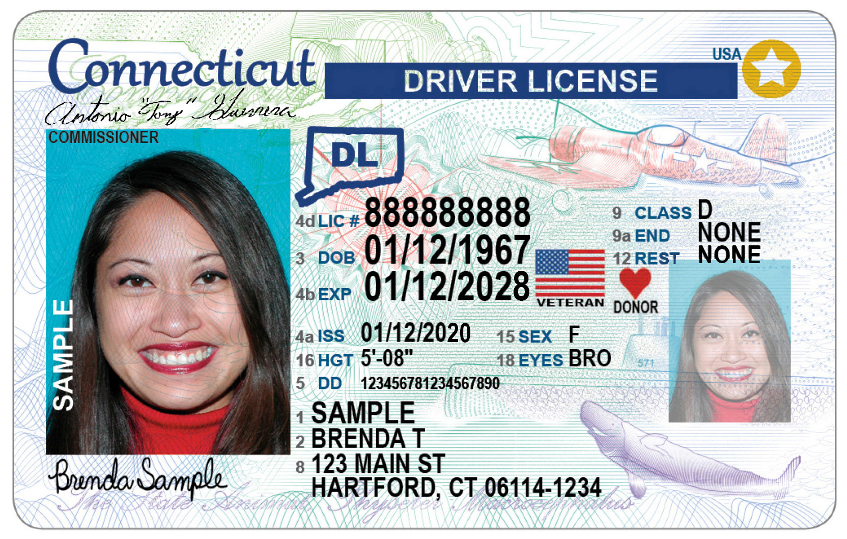 Best Connecticut Fake Id