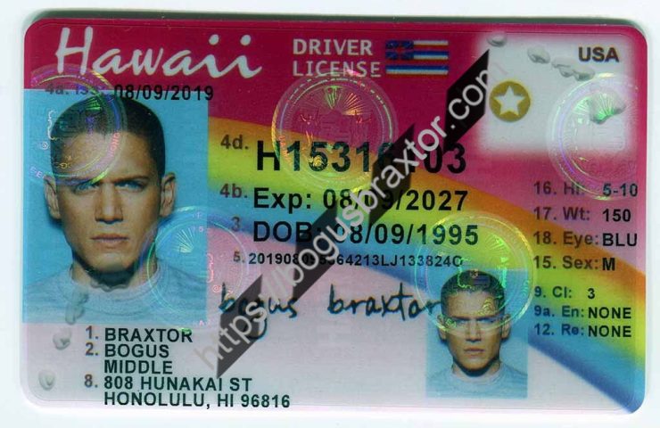 Best Hawaii Scannable Fake Id