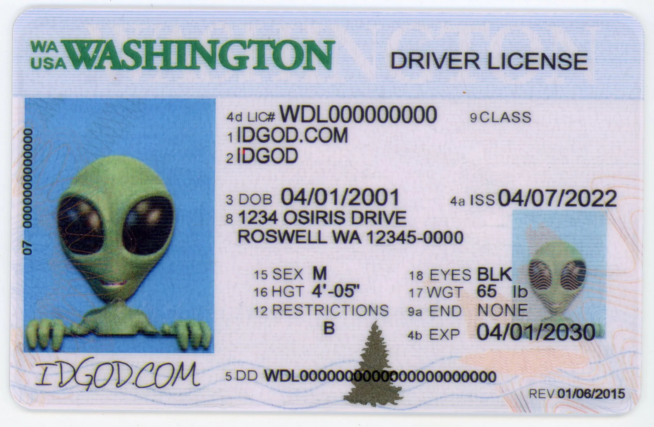 Best Washington Fake Id