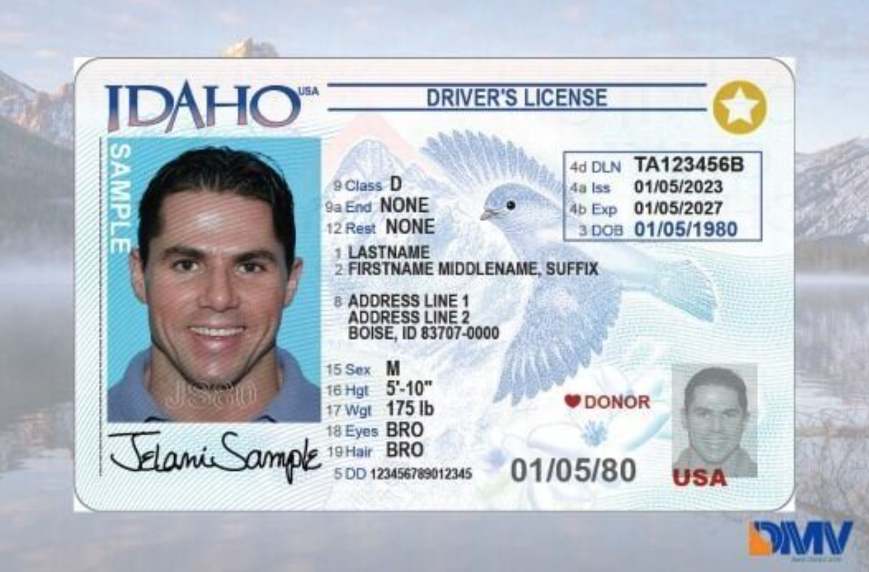 Buy Idaho Fake Id