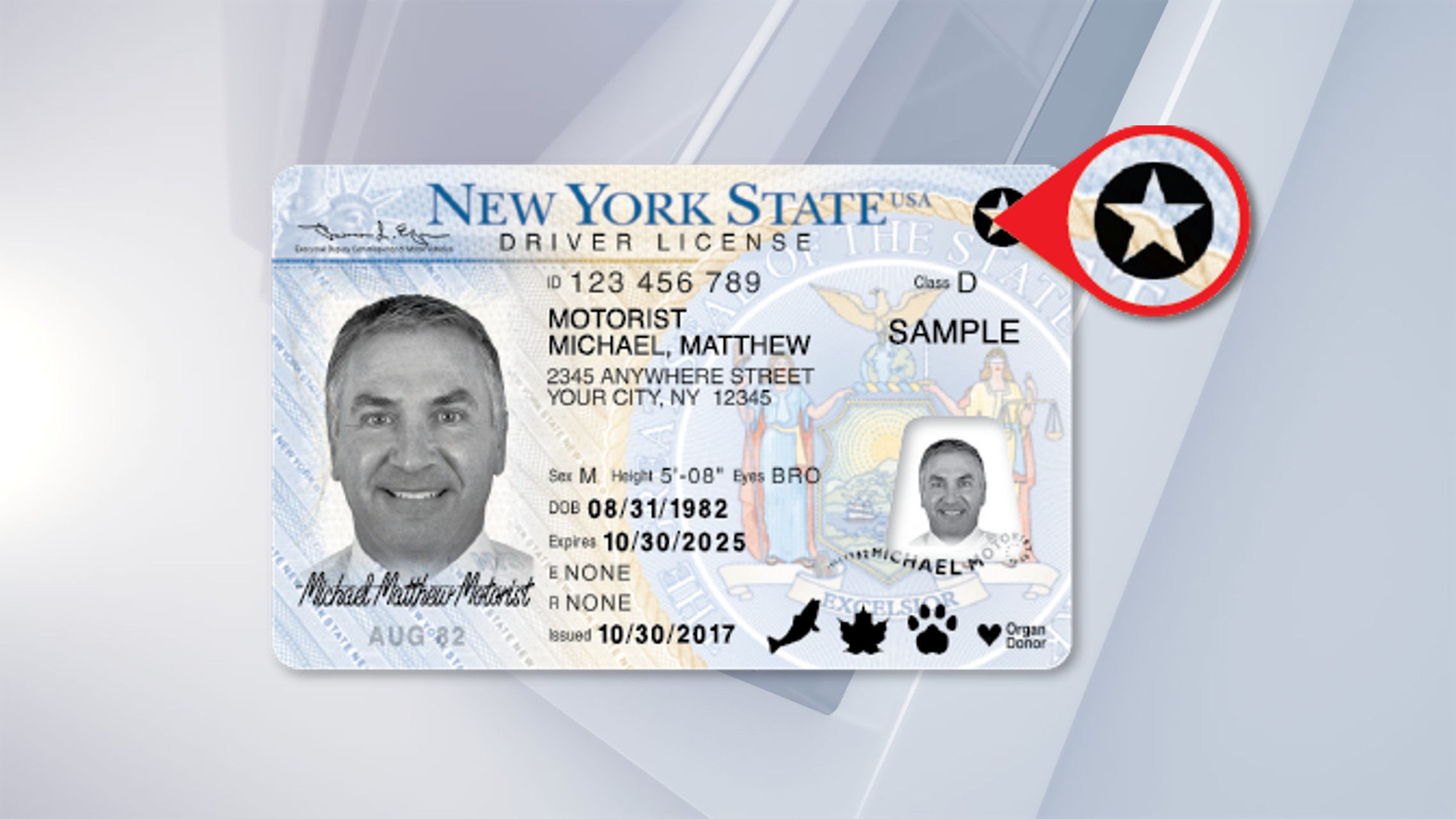 Buy Iowa Fake Id