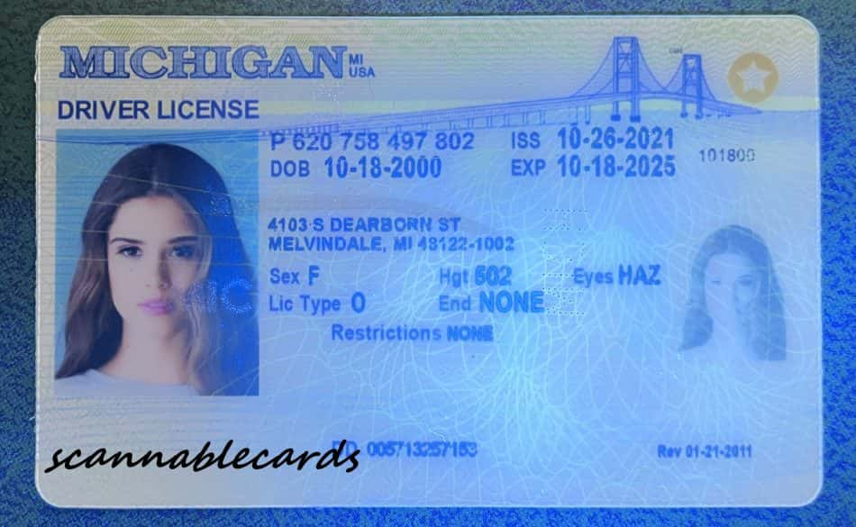 Buy Michigan Scannable Fake Id