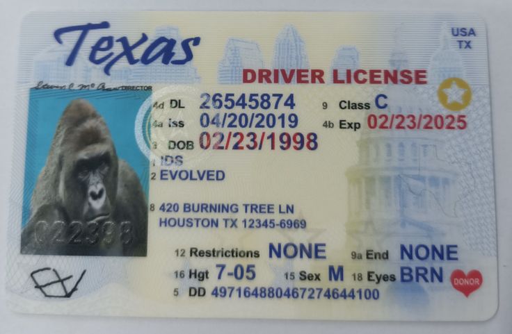 Buy Nevada Scannable Fake Id