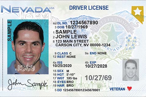 Buy Nevada Scannable Fake Id