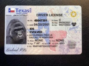 Buy South Dakota Scannable Fake Id