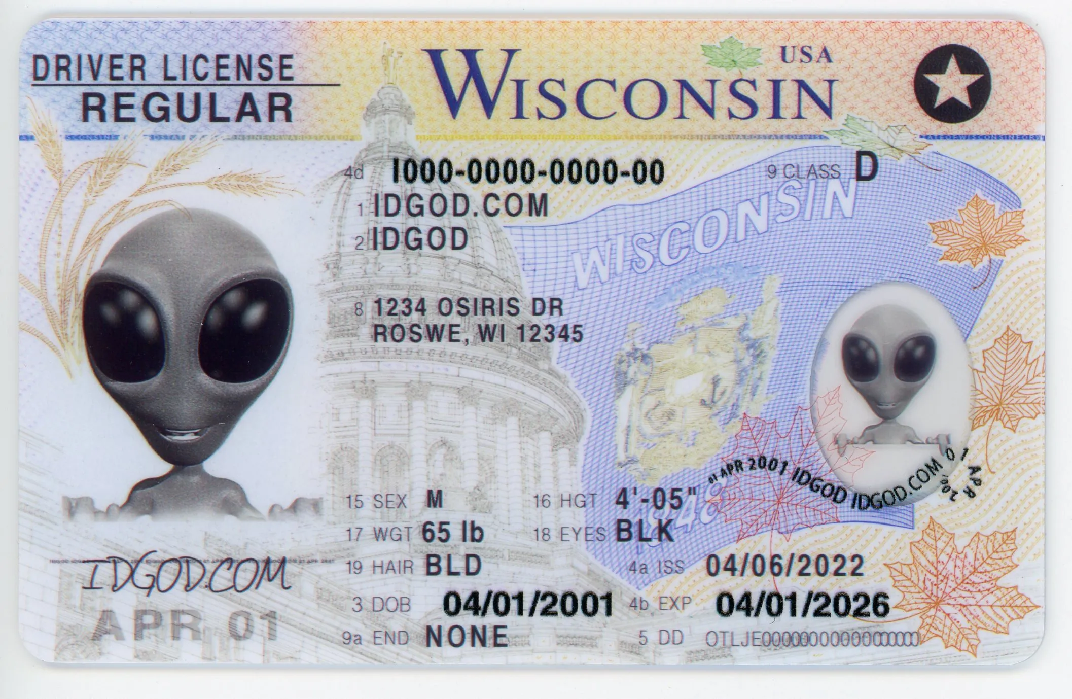 Buy Wisconsin Scannable Fake Id