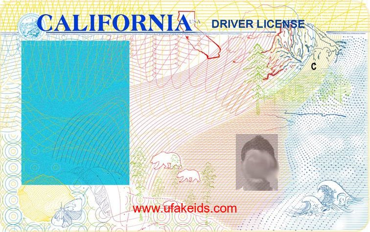 California Fake Id Online