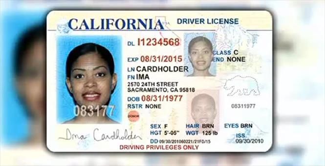 California Fake Id Online