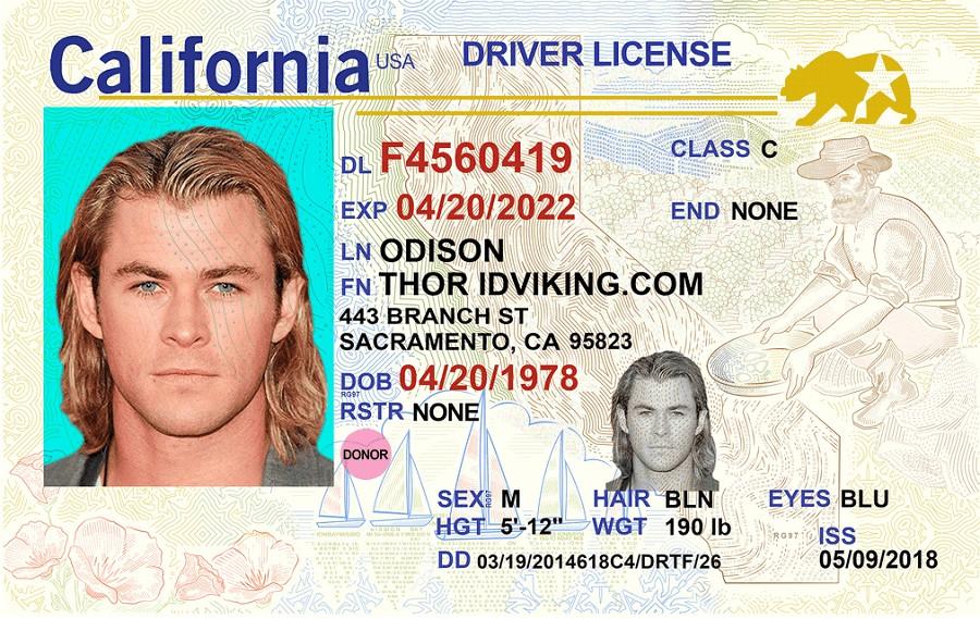 California Fake Id Templates