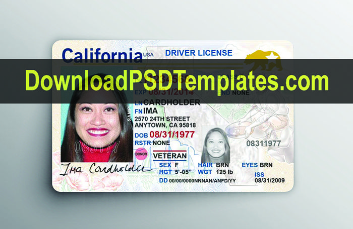 California Fake Id Templates