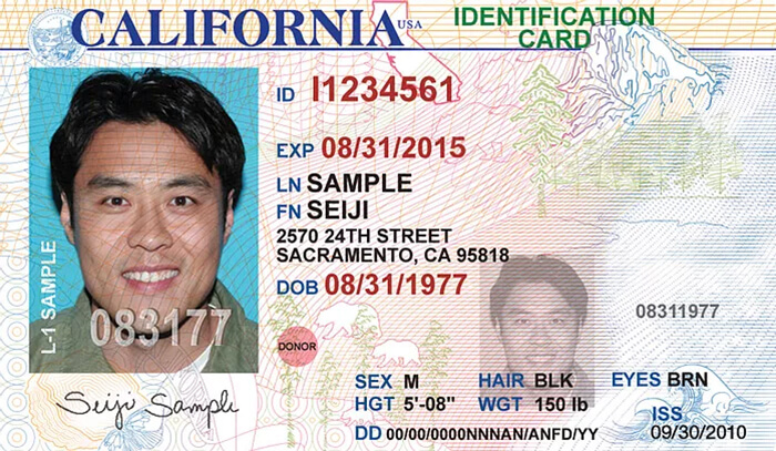 California Fake Id Templates