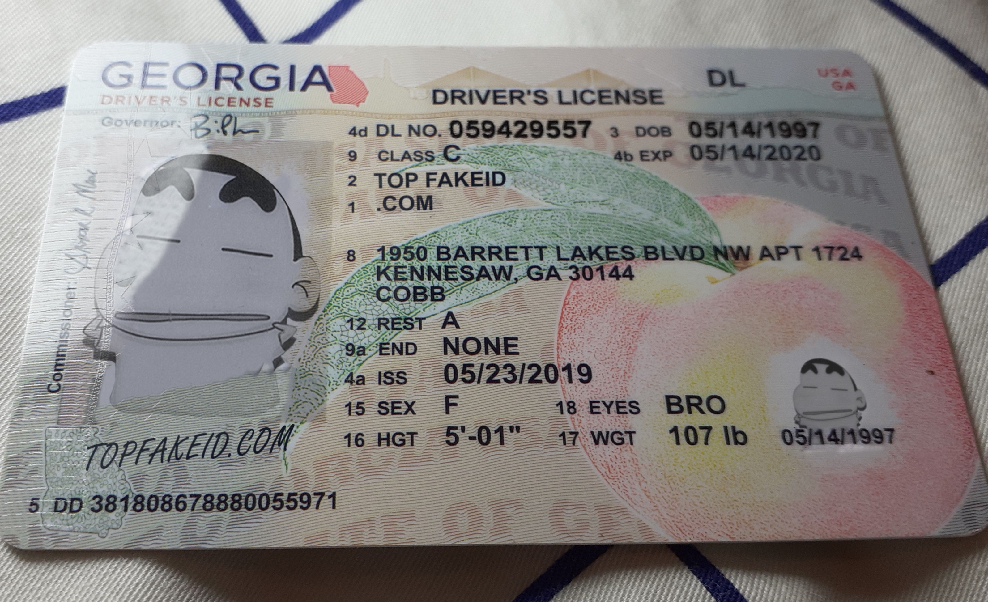 Cheap Georgia Fake Id