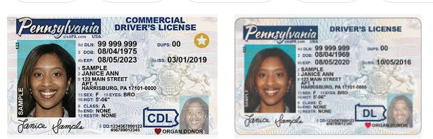 Cheap Pennsylvania Fake Id