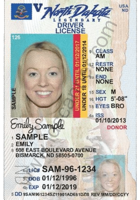 Cheap South Dakota Fake Id