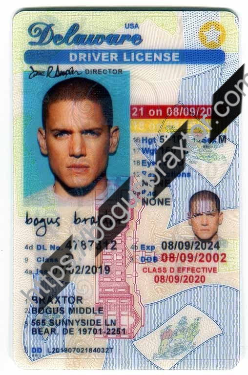 Delaware Fake Id Front And Back