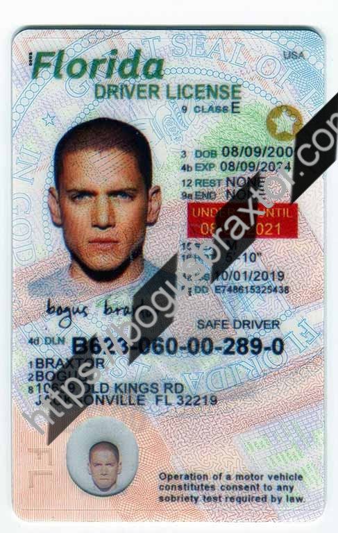 Florida Scannable Fake Id Front And Back