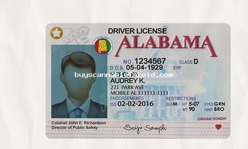 Florida Scannable Fake Id Front And Back