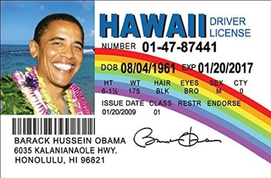 Hawaii fake id