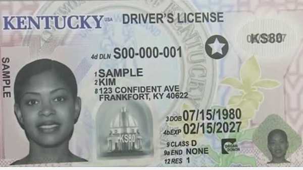 How Much Is A Kentucky Fake Id