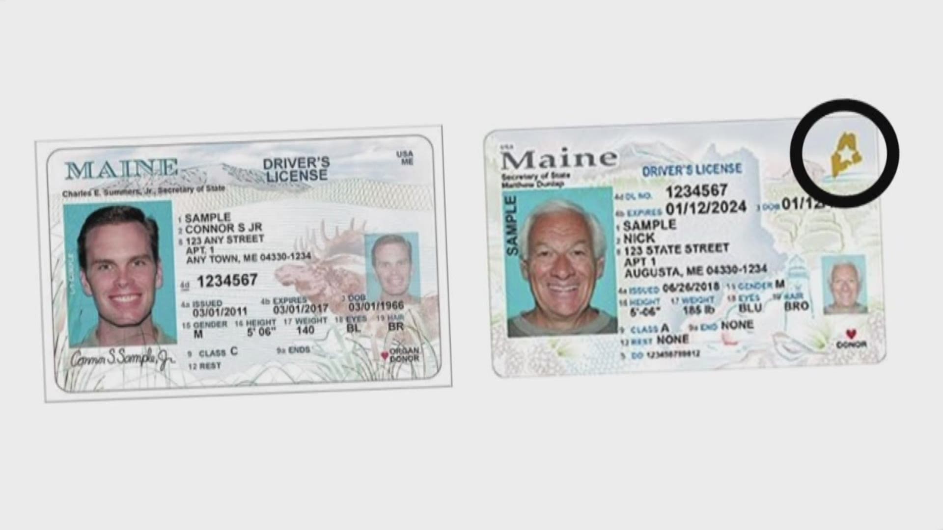 How Much Is A Maine Fake Id