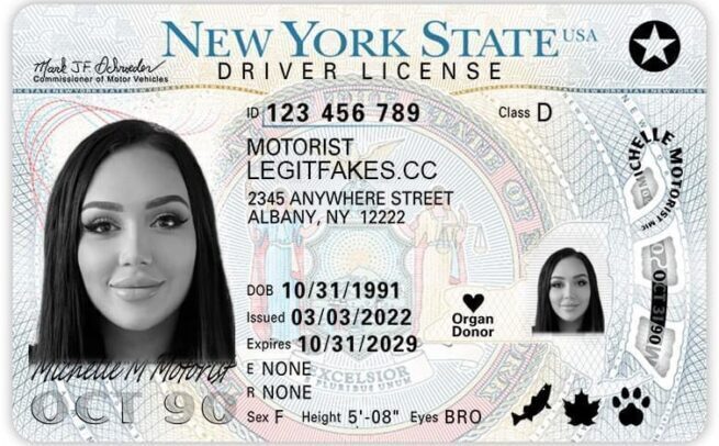 How Much Is A New York Fake Id