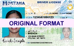 How To Get A Montana Fake Id