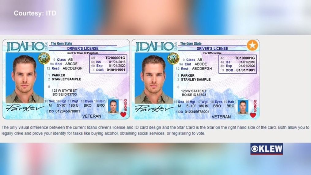 Idaho Fake Id Charges