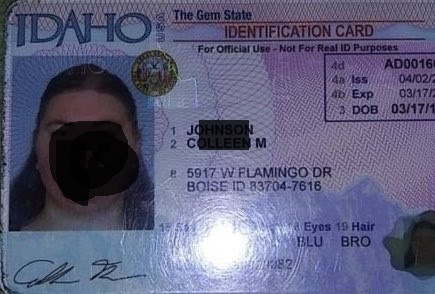 Idaho Scannable Fake Id Front And Back