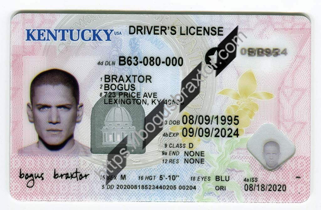 Kentucky Fake Id Online