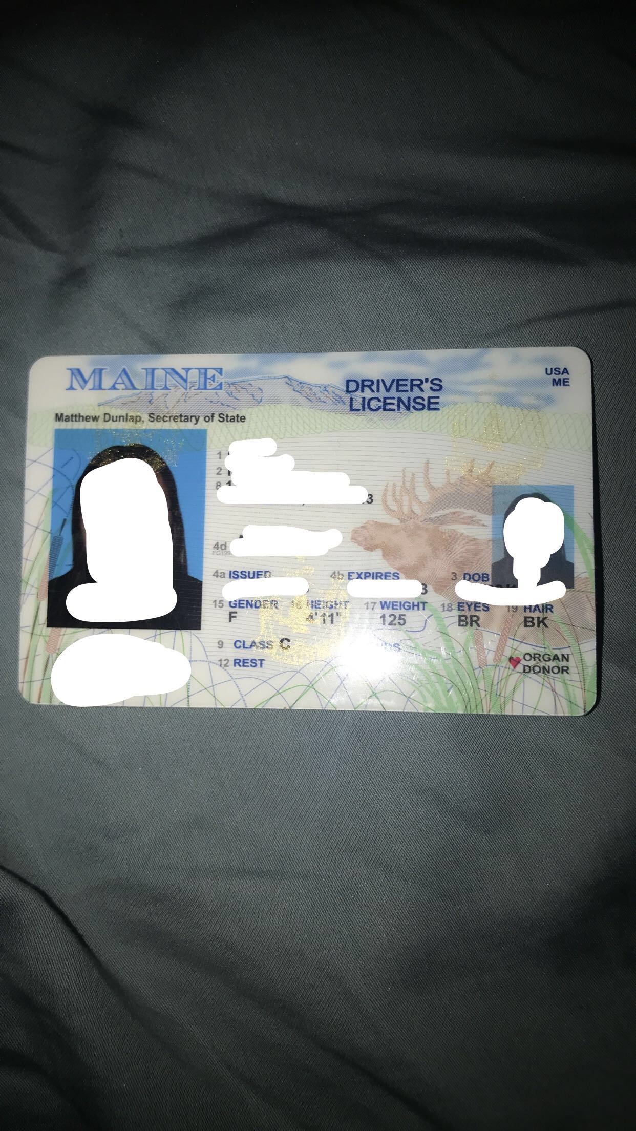 Maine Fake Id Generator