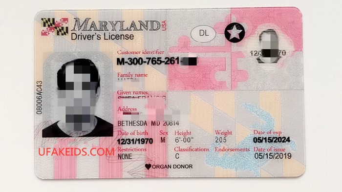 Maryland Fake Id Roblox