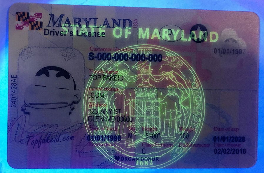 Maryland Scannable Fake Id Front And Back