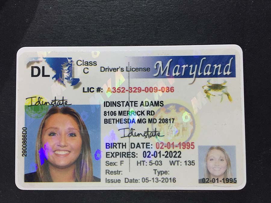 Maryland Scannable Fake Id Front And Back