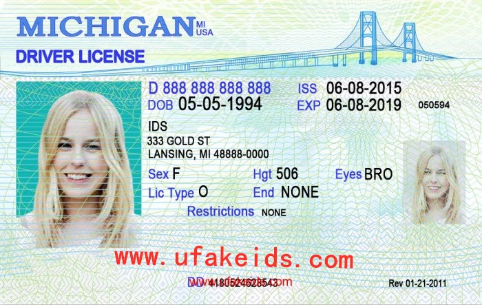 Michigan Scannable Fake Id Online