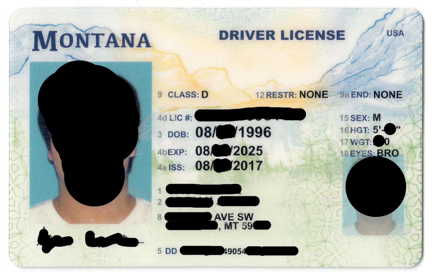 Montana Fake Id Charges