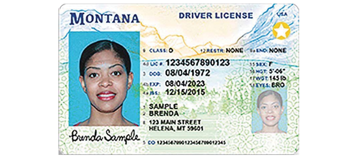 Montana Fake Id Charges