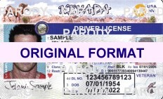 Nevada Fake Id Generator