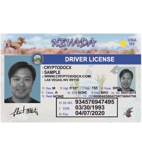 Nevada fake id