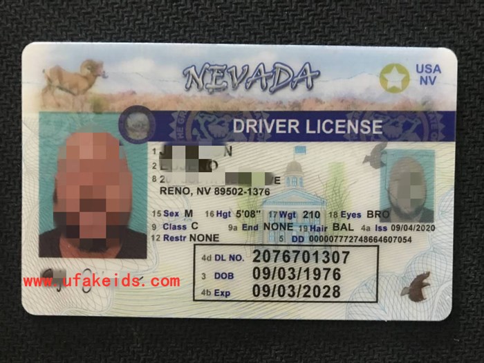 Nevada Scannable Fake Id Generator