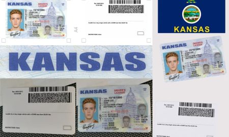 Order Delaware Fake Id