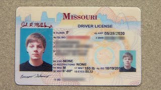 Order Georgia Scannable Fake Id