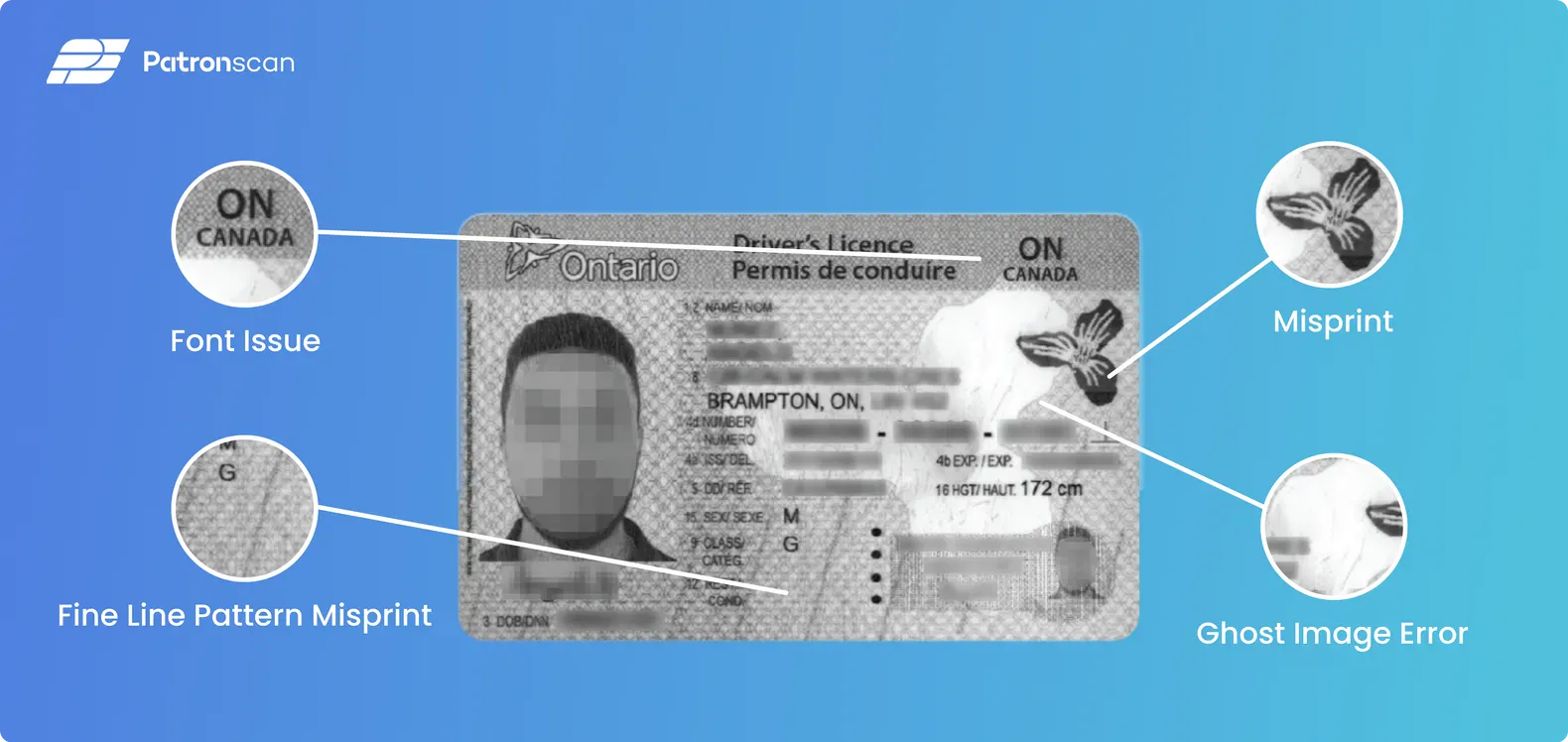 Order Minnesota Scannable Fake Id