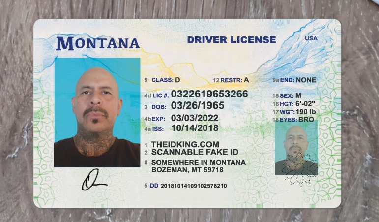 Order Montana Fake Id