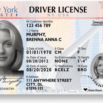 Order New York Fake Id