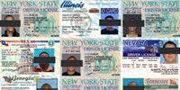 Order New York Fake Id