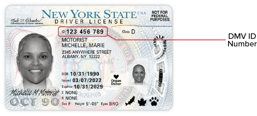 Order New York Fake Id