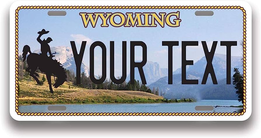 Order Wyoming Fake Id