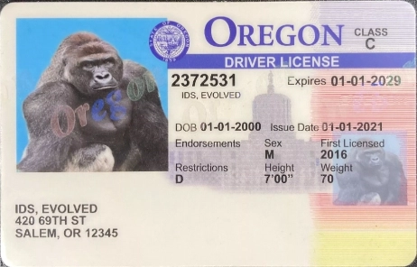 Oregon Fake Id Roblox